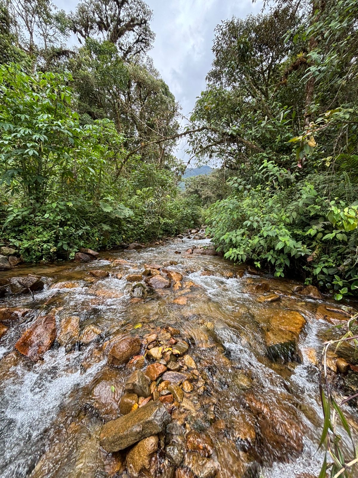 sembrando esperanza